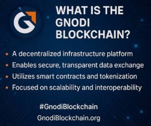 gnodi-blockchain